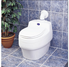 Komposttoilette im Badezimmer mit Topfpflanze