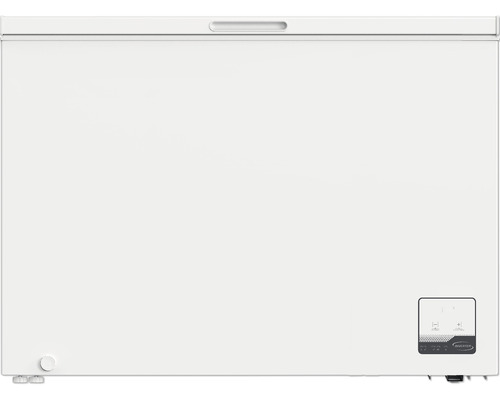 Gefriertruhe für die Lagerung von Lebensmitteln