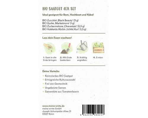 Bio Saatgut 4er Set für Beet, Hochbeet und Kübel mit Zucchini, Gurke, Zuckermelone und Hokkaido Kürbis