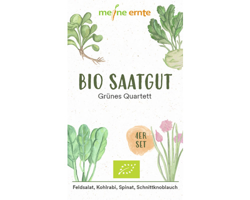 Bio Saatgut meine ernte Grünes Quartett Feldsalat Spinat Kohlrabi Schnittknoblauch