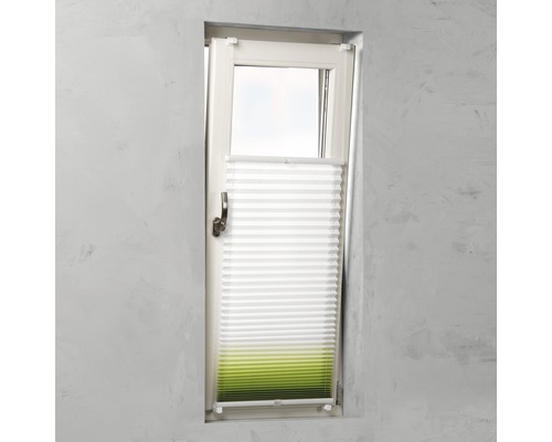 Plissee-Rollo am Fenster zur Lichtregulierung