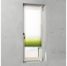 Plissee am Fenster zur Beschattung und Dekoration