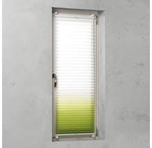 Fenster mit Plissee-Rollo für Sicht- und Sonnenschutz