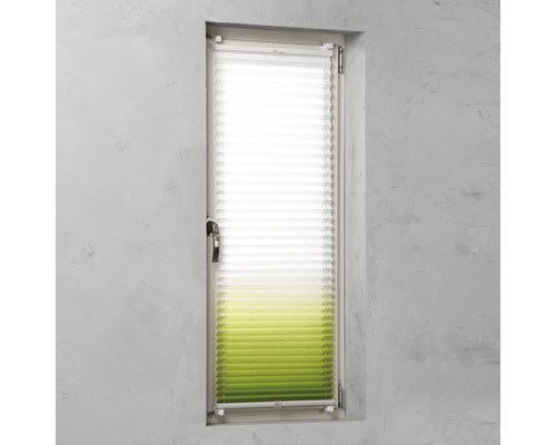 Fenster mit Plissee-Rollo für Sicht- und Sonnenschutz