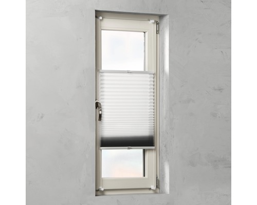 Fenster mit Plissee-Rollo zur Fensterdekoration und zum Sichtschutz