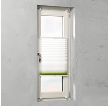 Fenster mit Faltstore zur Lichtregulierung