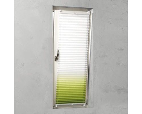 Plissee-Rollo am Fenster, teilweise geöffnet
