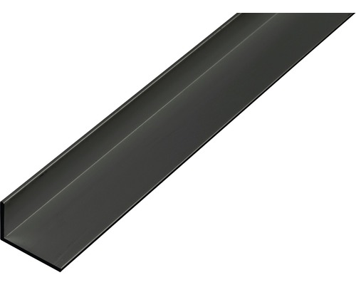 Thyssenkrupp Alu-Winkelprofil 50x25x2 Mm – Länge 2000 Mm, EN AW-6060, Für Bau & Möbel