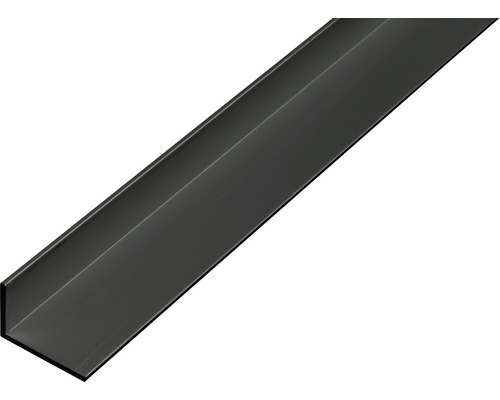 Winkelprofil Alu schwarz eloxiert 20x10x1 mm, 1 m