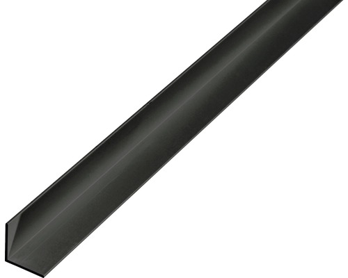 Winkelprofil Alu schwarz eloxiert 10x10x1 mm, 2 m