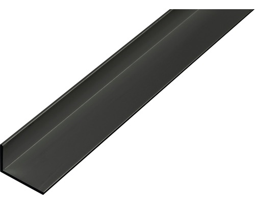 Winkelprofil Alu schwarz eloxiert 20x10x1 mm, 2 m