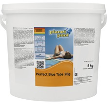 Desinfektionstabletten PerfectBlue 5 kg