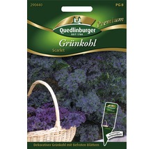 Grünkohl Scarlet Gemüsesamen