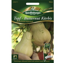 Samenpackung Topf Butternut Kürbis