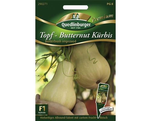 Kürbis Topf- Butternut Gemüsesamen