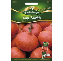Kürbis- Hokkaido- Amoro Gemüsesamen