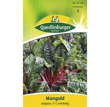 Mangold Ampera Gemüsesamen