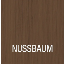 Nussbaum-Holzstruktur