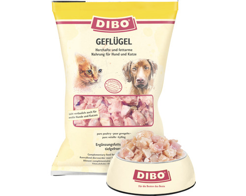 Dibo Geflügel Hundefutter und Katzenfutter, tiefgekühlt in der Verpackung und in einer Schüssel