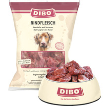 Dibo Rindfleisch Hundefutter im Beutel und im Napf