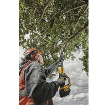 Ein Mann benutzt eine Akku-Hochentaster zum Beschneiden von Ästen.