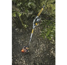 Eine Person benutzt eine Akku-Astsäge von DeWalt, um einen Baumast zu schneiden.