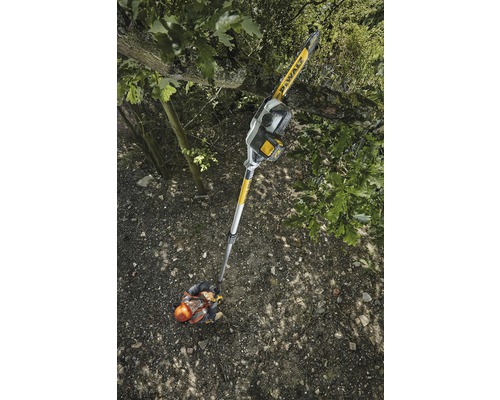 Eine Person benutzt eine Akku-Astsäge von DeWalt, um einen Baumast zu schneiden.