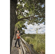 Eine Person mit Schutzkleidung benutzt eine Hochentaster, um Äste von einem Baum zu schneiden.