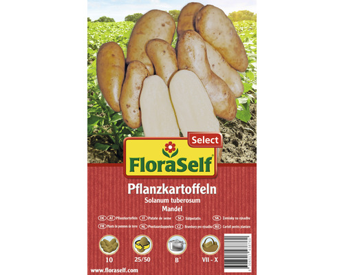 Pflanzkartoffeln FloraSelf Select Solanum tuberosum 'Mandel' 10 Stk