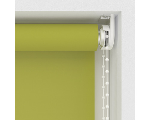 Grüne Rollos für Fenster mit Kettenzug