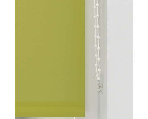 Grüne Fensterjalousie mit Kettenzug