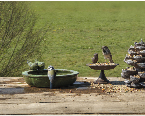 Szene mit Vogeltränke, Futterstelle und Vögeln im Garten