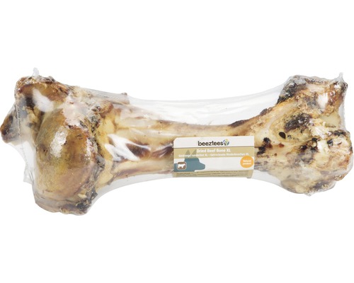 Rinderknochen XL beeztees ca. 30 cm Kauartikel