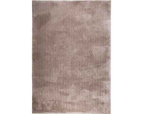 Teppich Shag Wellness taupe 160x230 cm