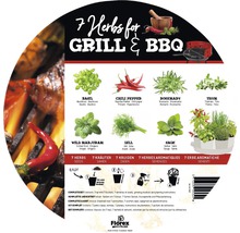 7 Kräuter für Grill und Barbecue mit Basilikum, Chili, Rosmarin, Thymian, wildem Majoran, Dill und Salbei
