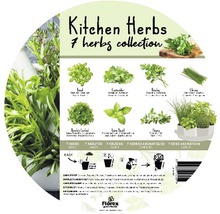 Küchenkräuter 7 Kräuter Kollektion