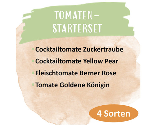 Tomaten Starterset mit Cocktailtomate Zuckertraube, Cocktailtomate Yellow Pear, Fleischtomate Berner Rose und Tomate Goldene Königin