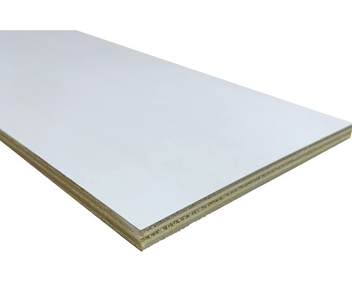 Beschichtete Sperrholzplatte