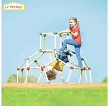 Kinder klettern auf einem Lil'' Monkey Klettergerüst im Freien.