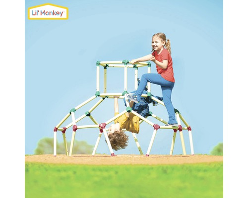 Kinder klettern auf einem Lil'' Monkey Klettergerüst im Freien.
