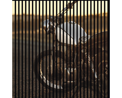 Akustikpaneel digital bedruckt Motorrad 2 1195 x 1133 x 19 mm Set = 2 Einzelpaneele Akustikpaneel digital bedruckt Motorrad 2 1195 x 1133 x 19 mm Set = 2 Einzelpaneele