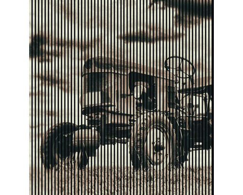 Akustikpaneel digital bedruckt Traktor 1 19x2253x2400 mm Set = 4 Einzelpaneele