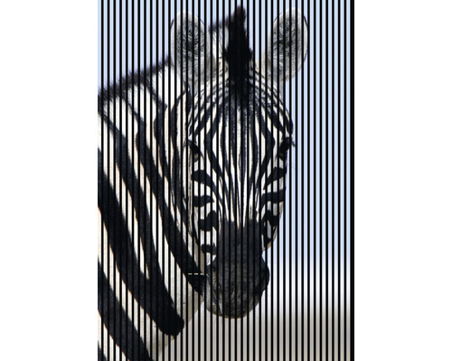 Akustikpaneel digital bedruckt Zebra 1 2400 x 1693 x 19 mm Set = 3 Einzelpaneele