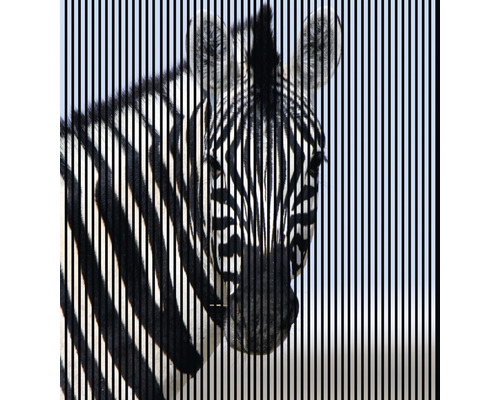 Akustikpaneel digital bedruckt Zebra 1 2400 x 2253 x 19 mm Set = 4 Einzelpaneele