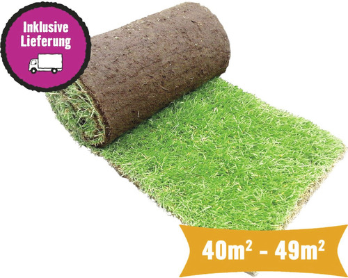Rollrasen Sport & Spiel Bestellmenge 40-49 m² tagesfrisch geschält, strapazierfähig, schnelle Regeneration, für sonnige bis halbschattige Lage, ideal für Familien Rolle Rollrasen mit inklusive Lieferung für 40 bis 49 Quadratmeter