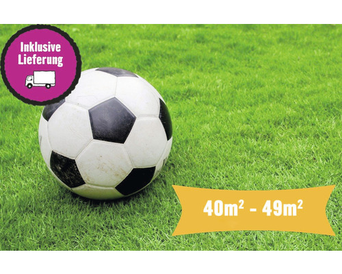 Rollrasen Profi-Sportrasen Bestellmenge 40- 49 m² tagesfrisch geschält, extrem belastbar und trittfest, höherer Pflegeaufwand, ideal für Sportanlagen, für sonnige Lage Fußball auf Rasen mit Aktionshinweis inklusive Lieferung und Größenangabe 40 Quadratmeter bis 49 Quadratmeter