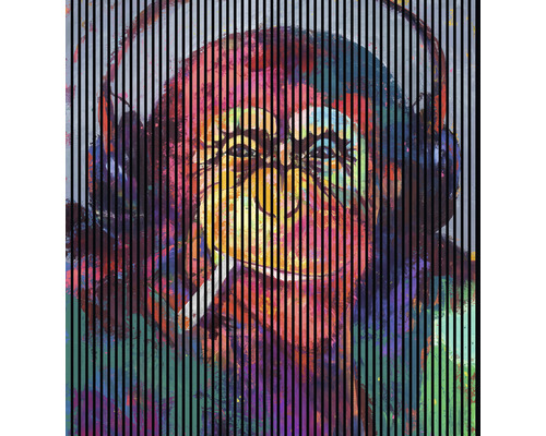 Akustikpaneel digital bedruckt Monkey 2 2400 x 2253 x 19 mm Set = 4 Einzelpaneele