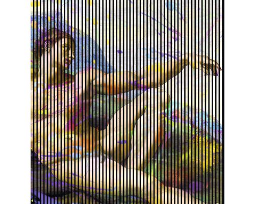 Akustikpaneel digital bedruckt Michelangelo 2 19x2253x2400 mm