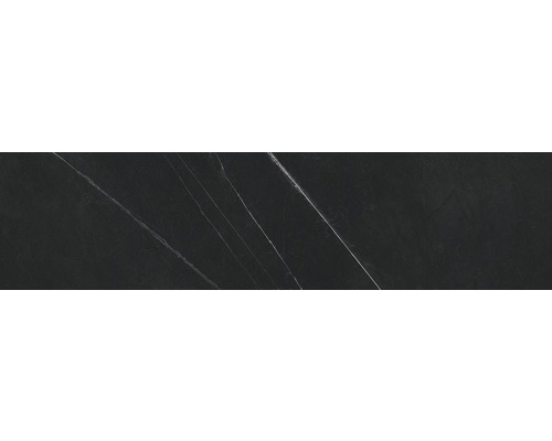 Dunkle Fliese mit Marmoroptik