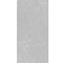 Feinsteinzeug Wand- und Bodenfliese Dialex Marmor 60 x 119,5cm-thumb-17